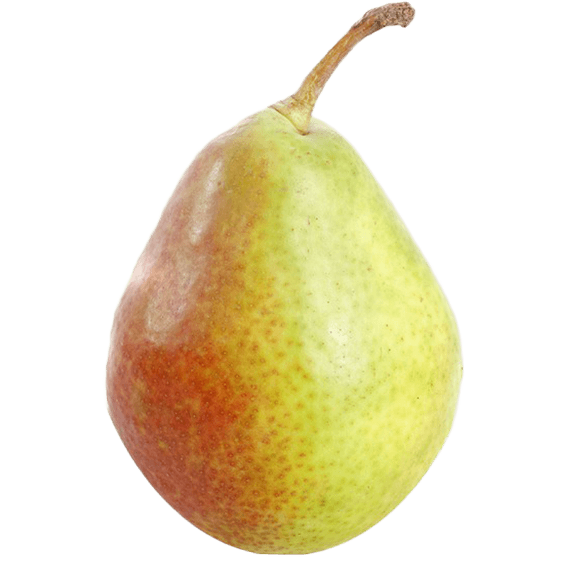 File:Fruit-pear.png - Vintage Story Wiki